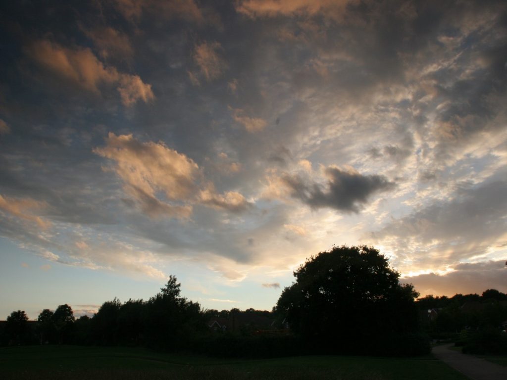 Read more about the article Tattenhoe Trial