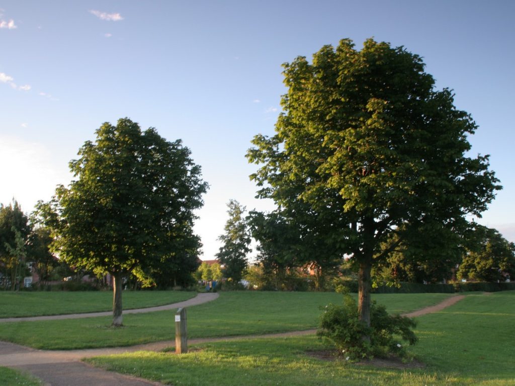 Read more about the article Cache ‘n’ Dash