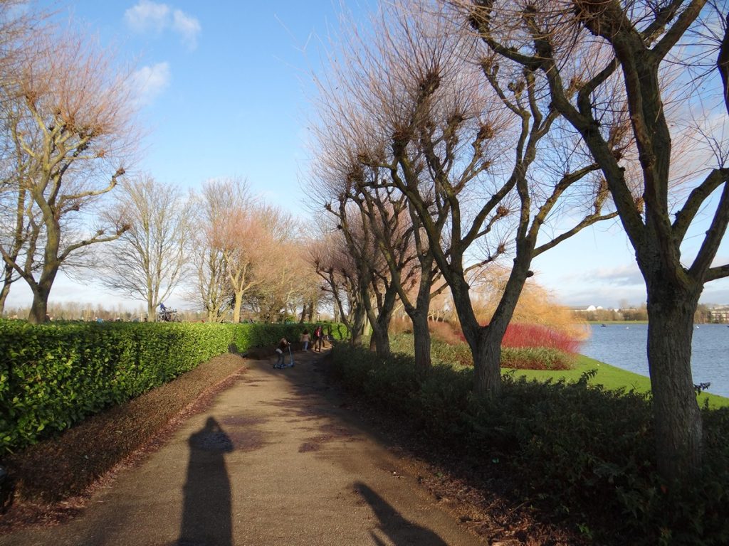 Read more about the article Willen Wander