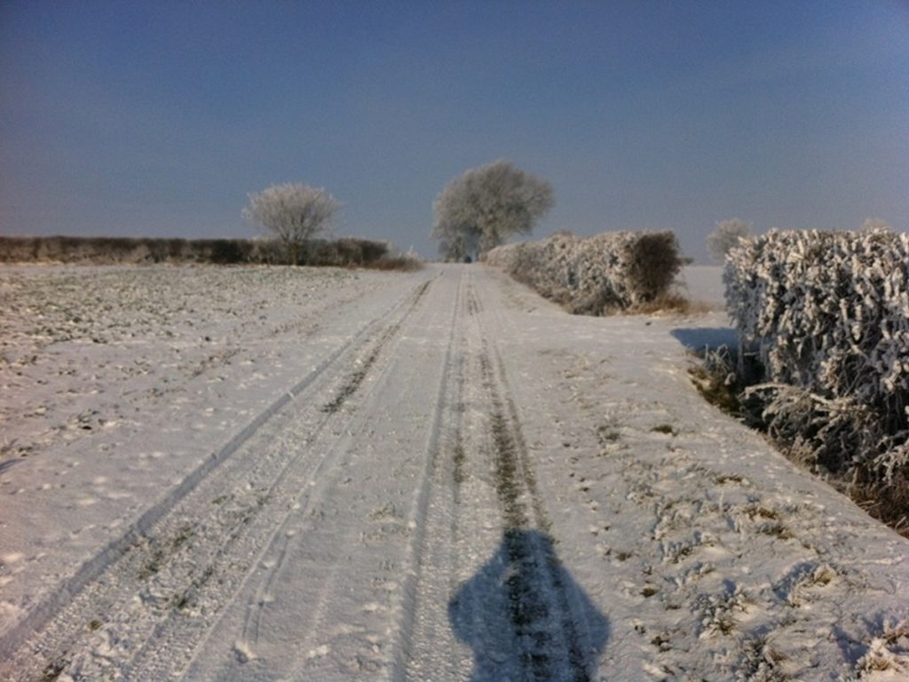 Read more about the article Warmington