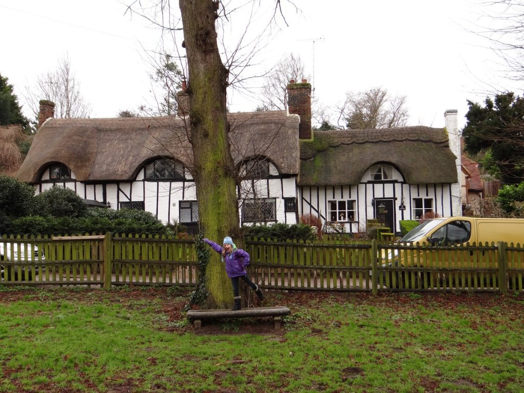 Read more about the article Ampthill