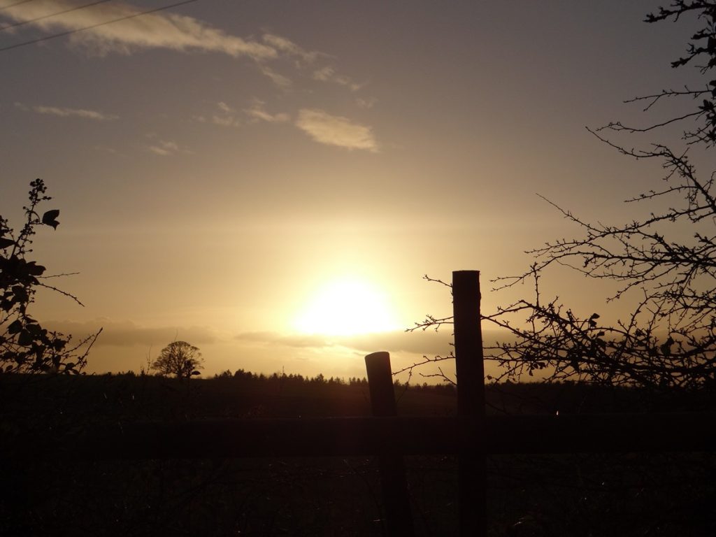 Read more about the article Mighty Quins