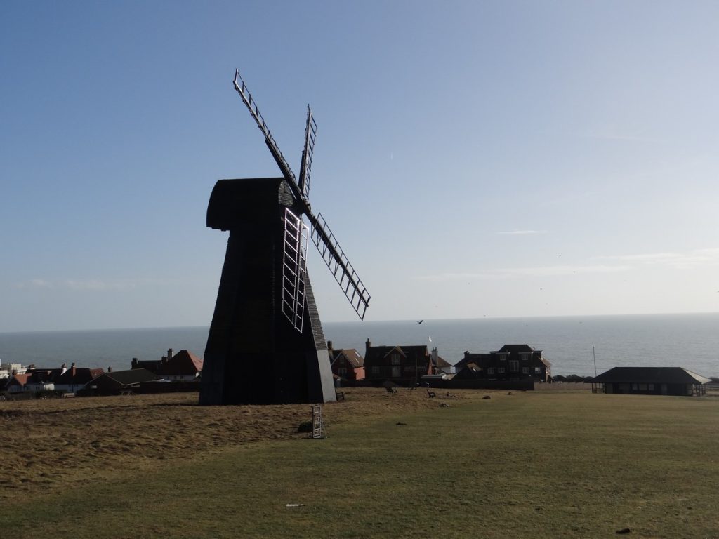 Read more about the article Brighton Half