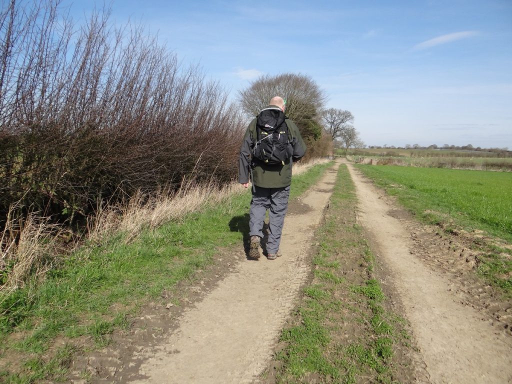 Read more about the article Oh Simple Thing