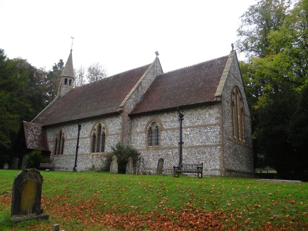 Read more about the article Forty Sortie