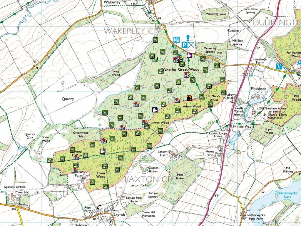 Read more about the article Halloween Hides