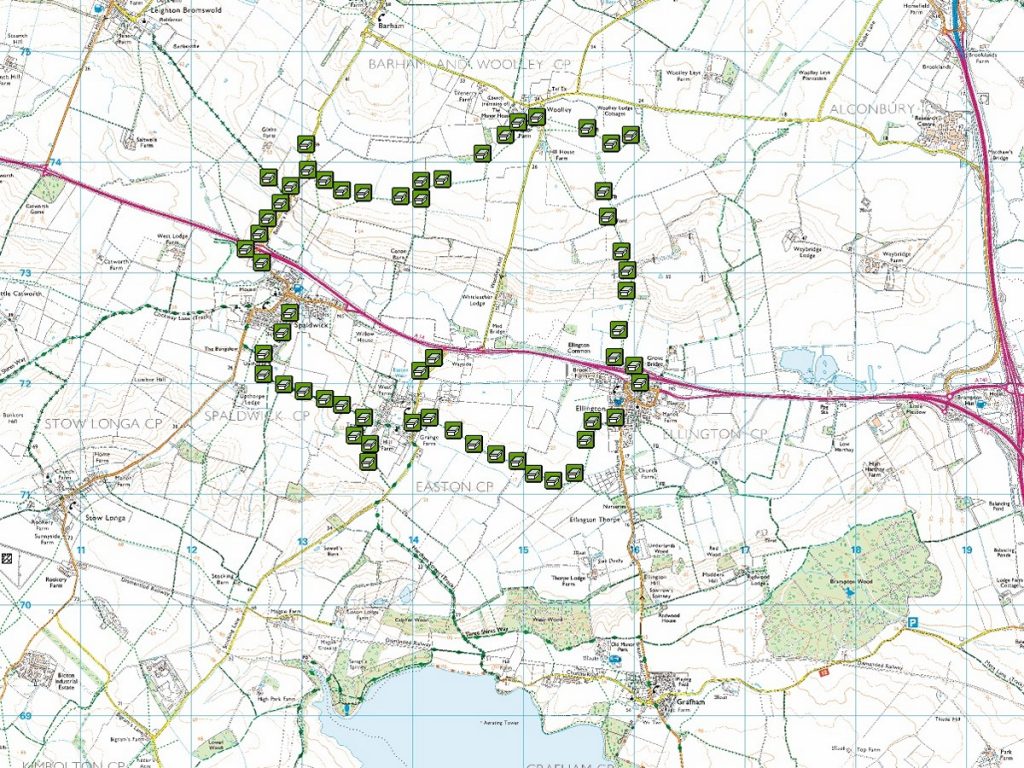 Read more about the article Woolley Mammoth