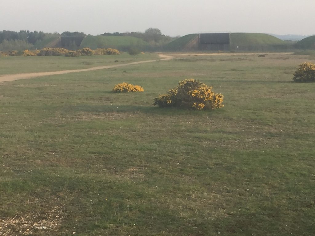 Read more about the article Missile Silos