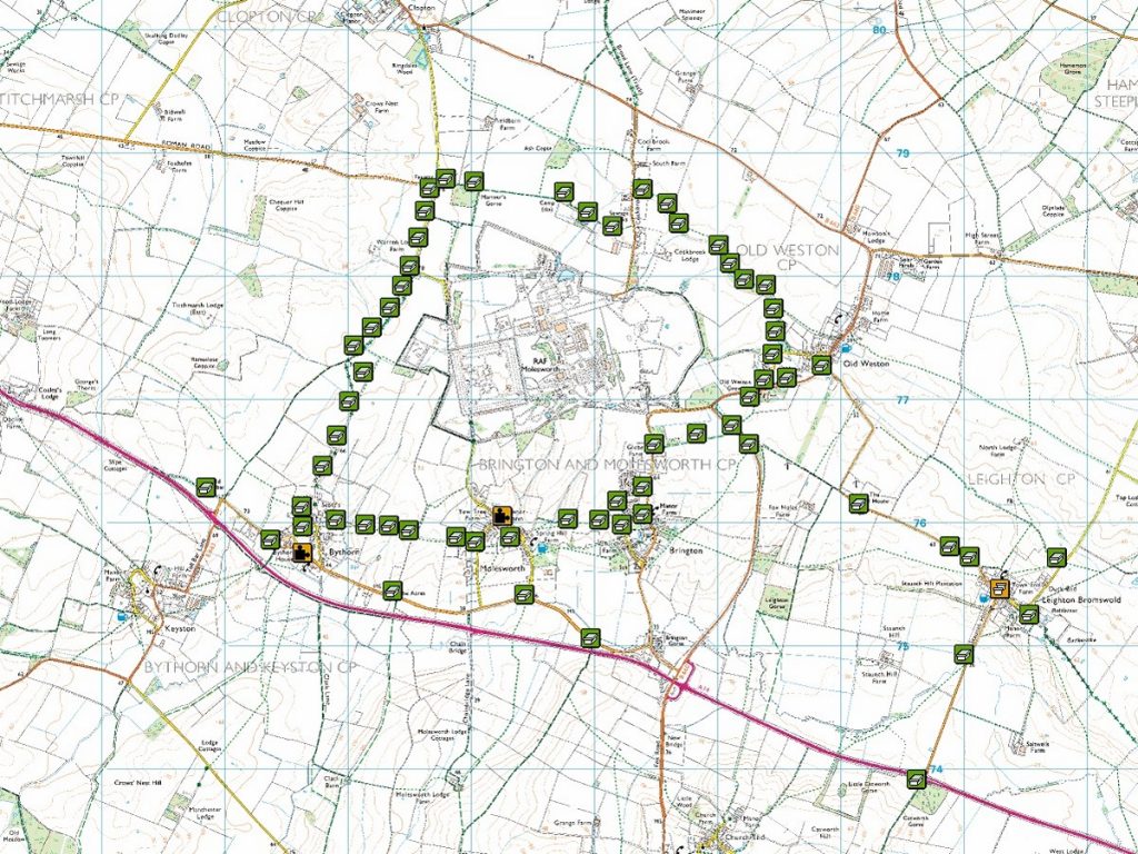 Read more about the article Molesworth