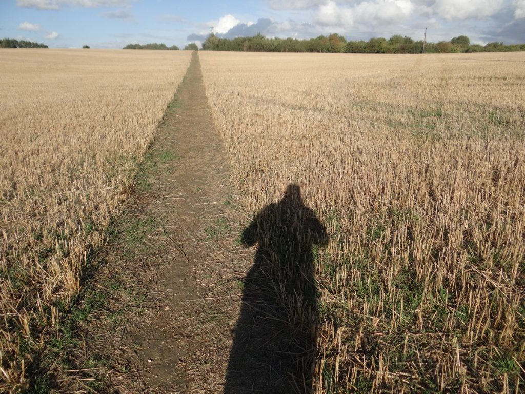 Read more about the article Finbarr Saunders