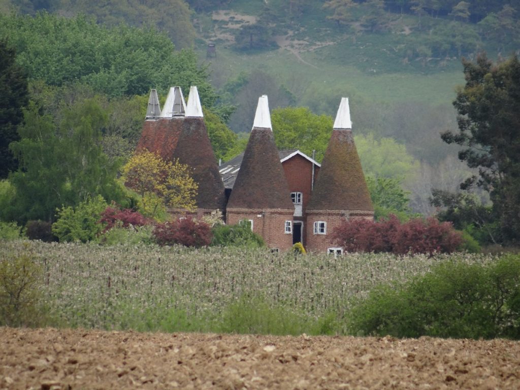 Read more about the article Oast with the Most