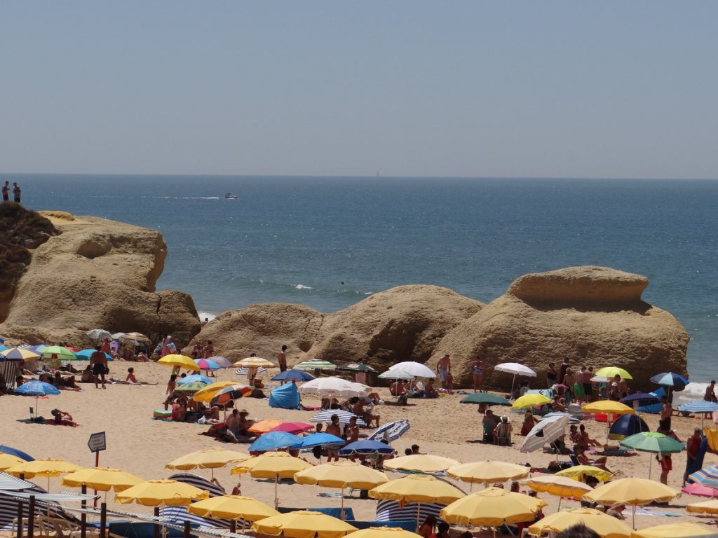 Read more about the article Brum Brum Brum