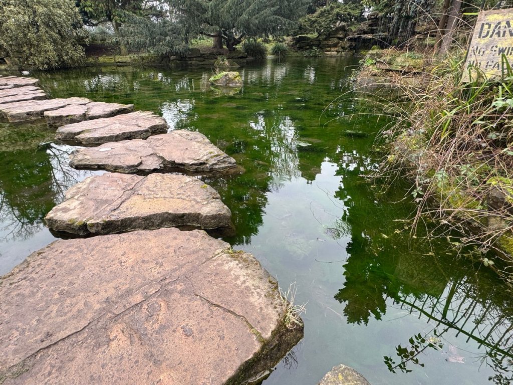 Read more about the article Where’s Batman?