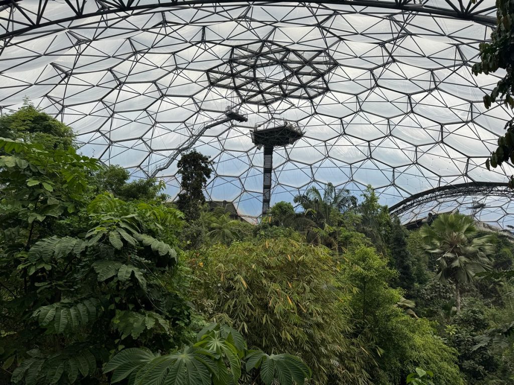 Read more about the article Eden Project