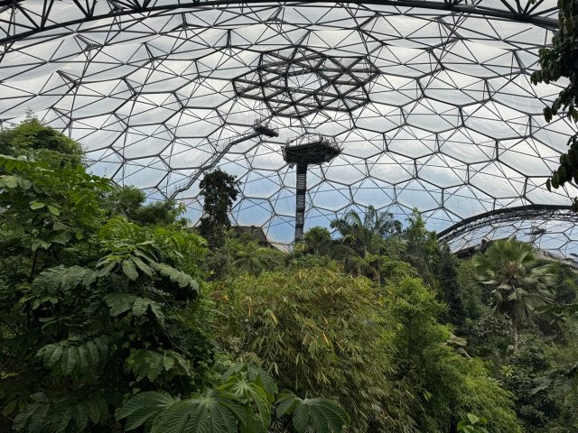 Eden Project