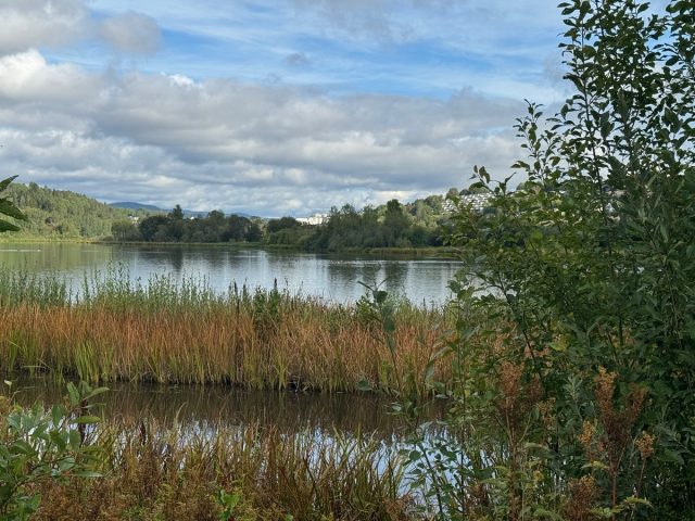 Oslo Labs