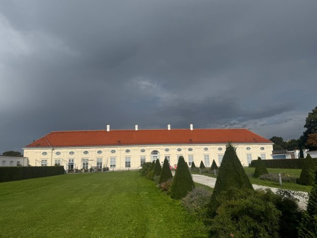 Ow! Vienna